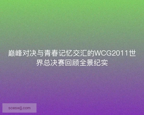 巅峰对决与青春记忆交汇的WCG2011世界总决赛回顾全景纪实